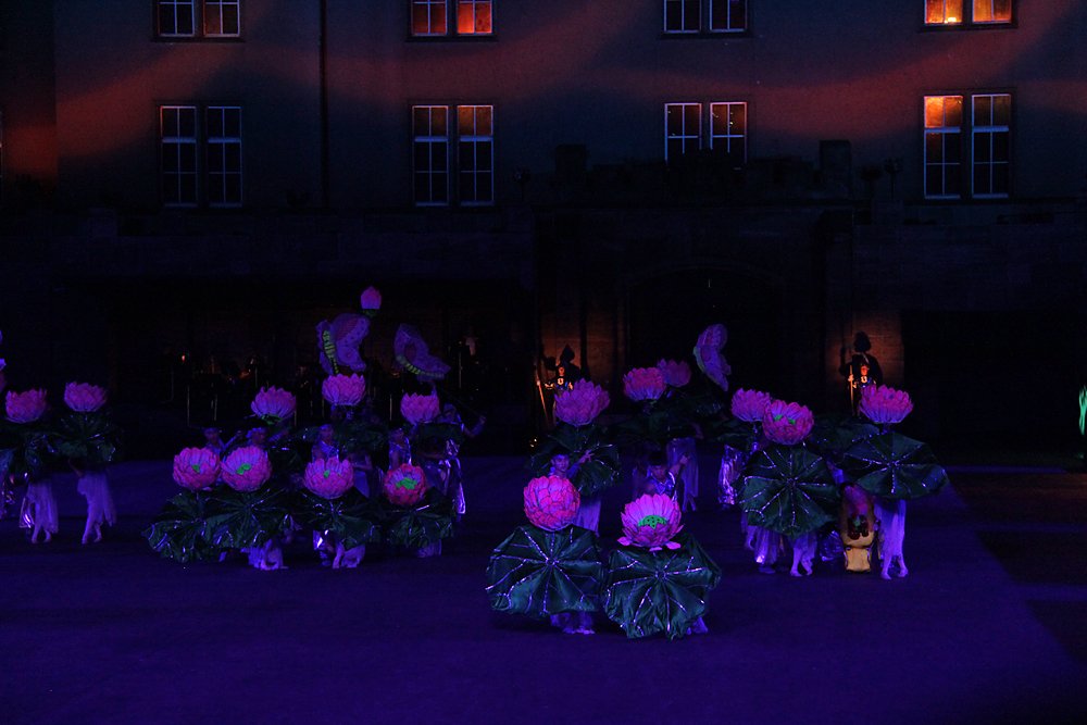 Basel Tattoo 2014